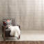 Wool Area Rug in Beige-1684308352