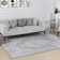 Oriental Area Rug
