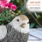 Rieger Statue Planter-687549430