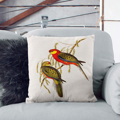Earl Of Derby's Parakeets Square Throw Cushion