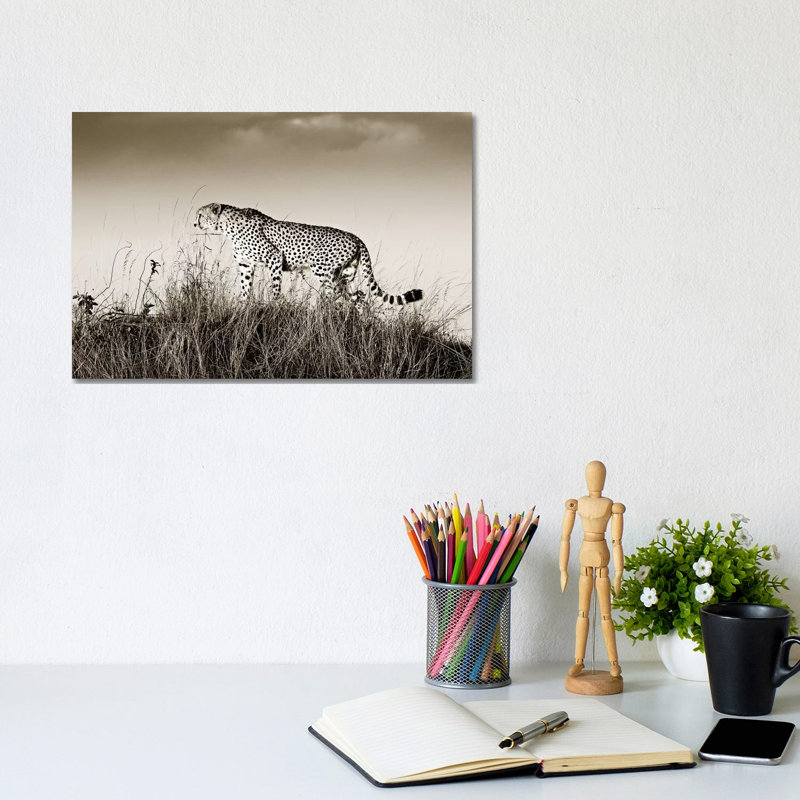 Crouching Cheetah by Klaus Tiedge - Print on Canvas, 20.32 cm H x 30.48 cm W, Wrapped Canvas