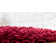 Red Area Rug