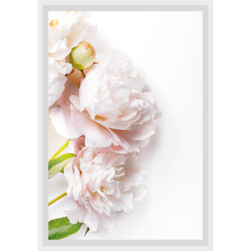 Rose - Single Picture Frame Print