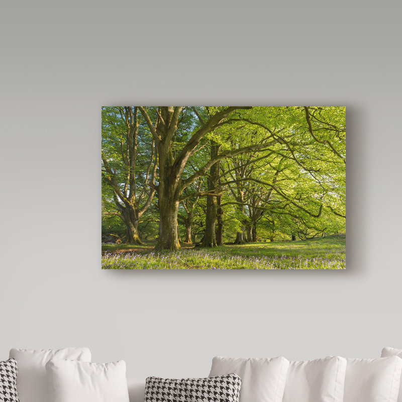 «Springtime in the Forest» par Moises, reproduction de photo sur toile tendue, H 30 po x l 47 po