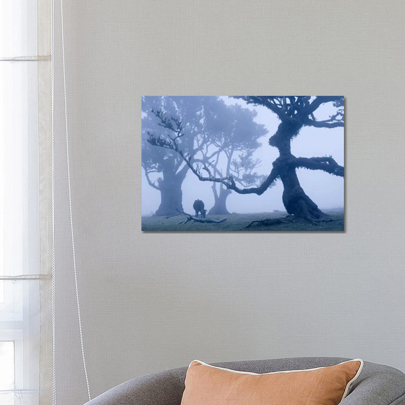Ents I by Stefan Hefele - Wrapped Canvas Print, 66.04 cm H x 45.72 cm W