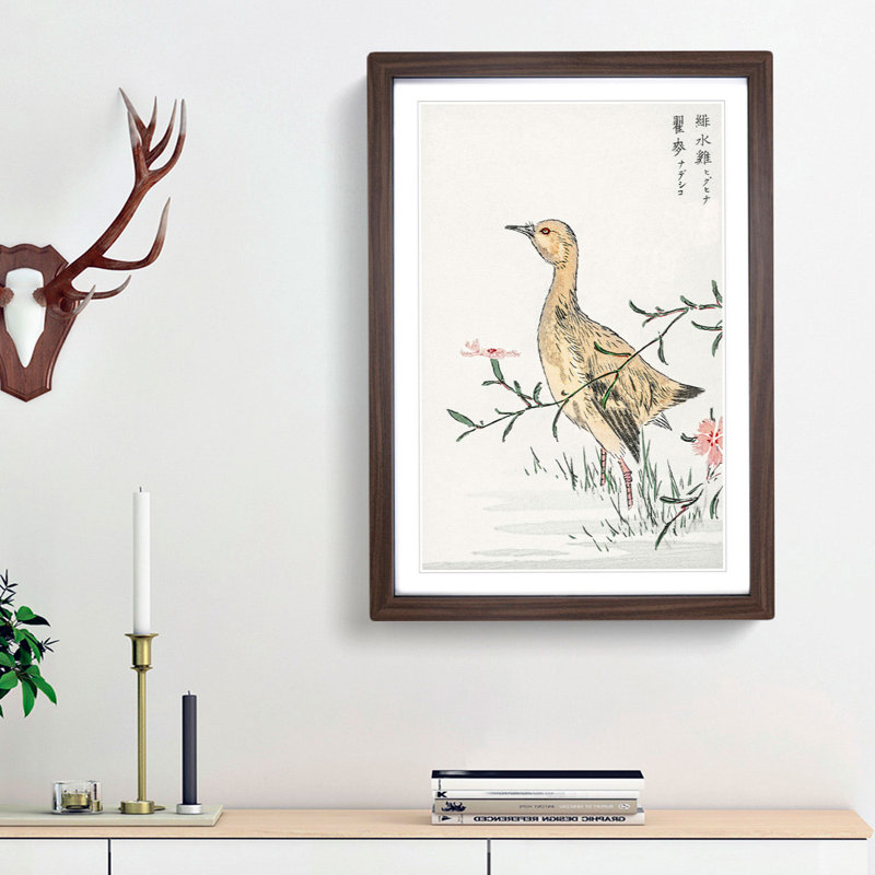 Eastern Redshank Bird by Numata Kashu - Picture Frame Painting Print, 36cm H x 27cm W x 2cm D, Walnut Framed