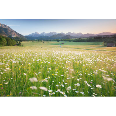 Blooming Field par Wingmar