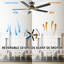 Ventilateur de plafond intelligent 52 "avec lumière-650498163-650498167