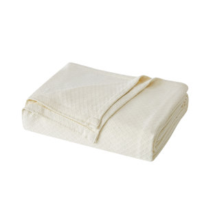 Royal Velvet Dream Cotton Blanket