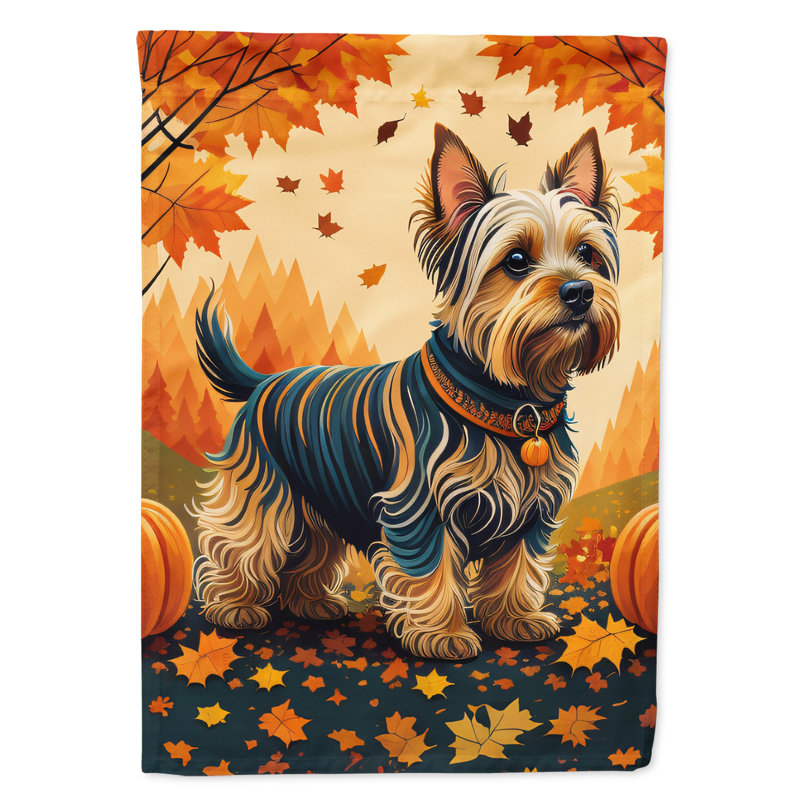 Drapeau Silky Terrier Fall House