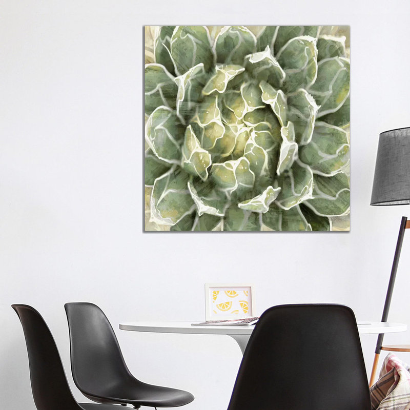 Succulent VII by Lindsay Benson - Wrapped Canvas Painting