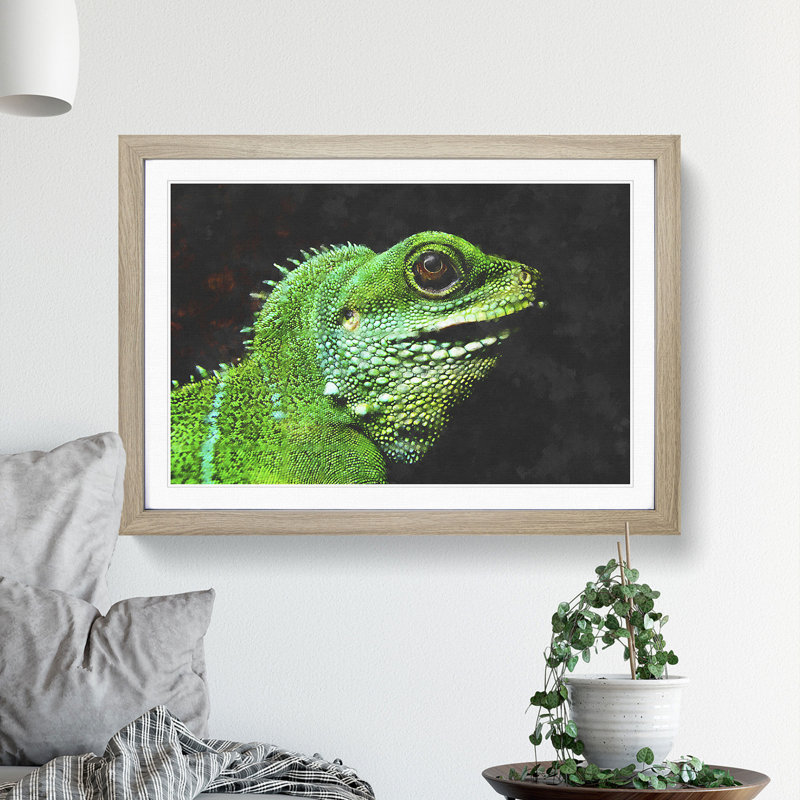 Iguana Lizard - Picture Frame Graphic Art, 27cm H x 36cm W x 2cm D, Oak Framed