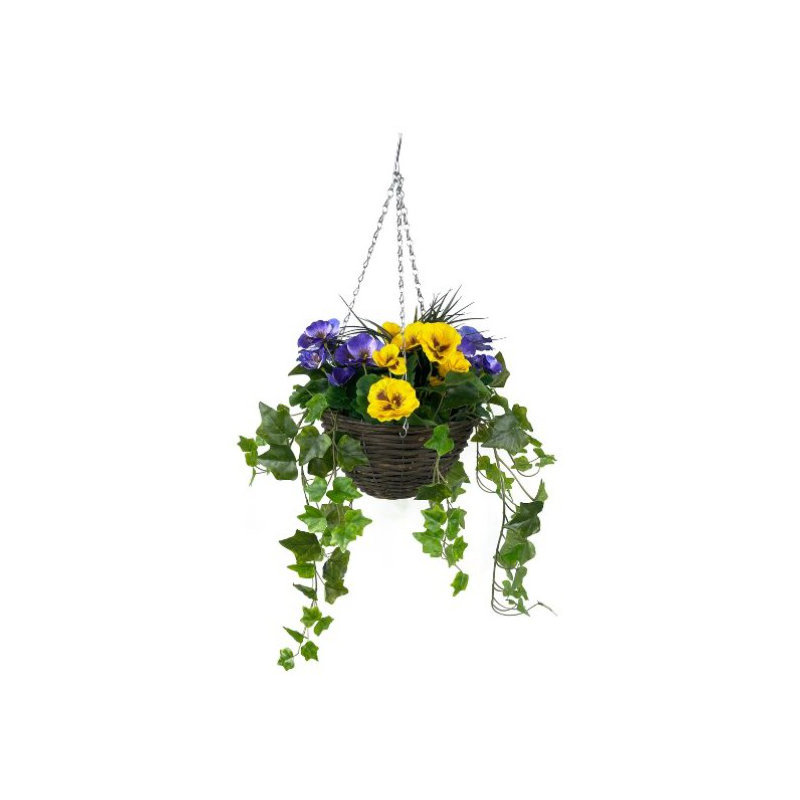 Pansy with Ivy Vine in Hanging Basket (Anti-UV)(25cm diameter basket), Yellow/Purple