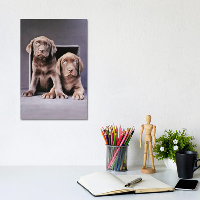 Yardan And Yosemite by Rachael Hale - Print on Canvas
