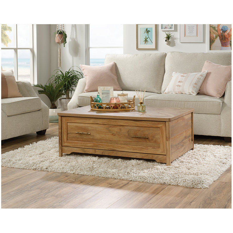 Modern Rectangular Coffee Table with Storage
