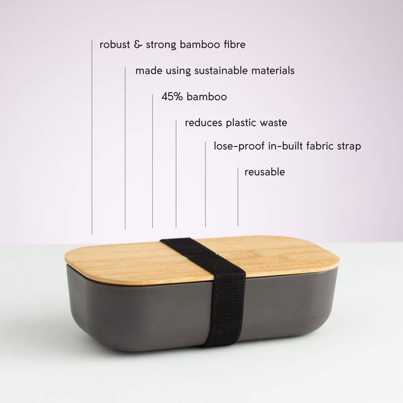 Pure Box Food Storage Container