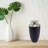 Monterey Ruby Adult Urn-103748249