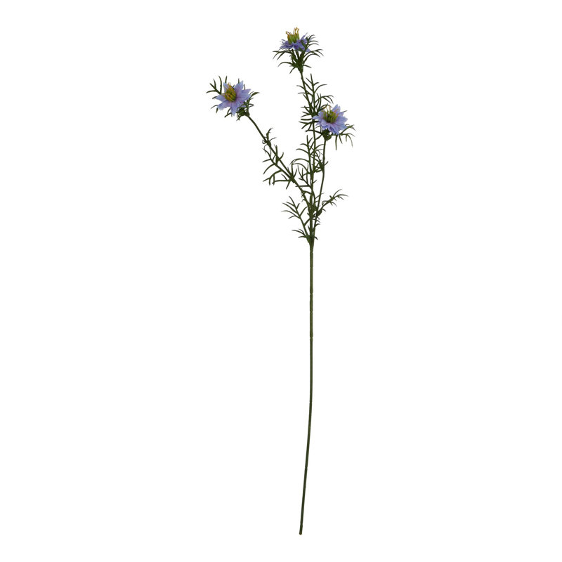 Anastasija Arrangement, Purple