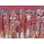 The Playa V Print-65852540-132457499
