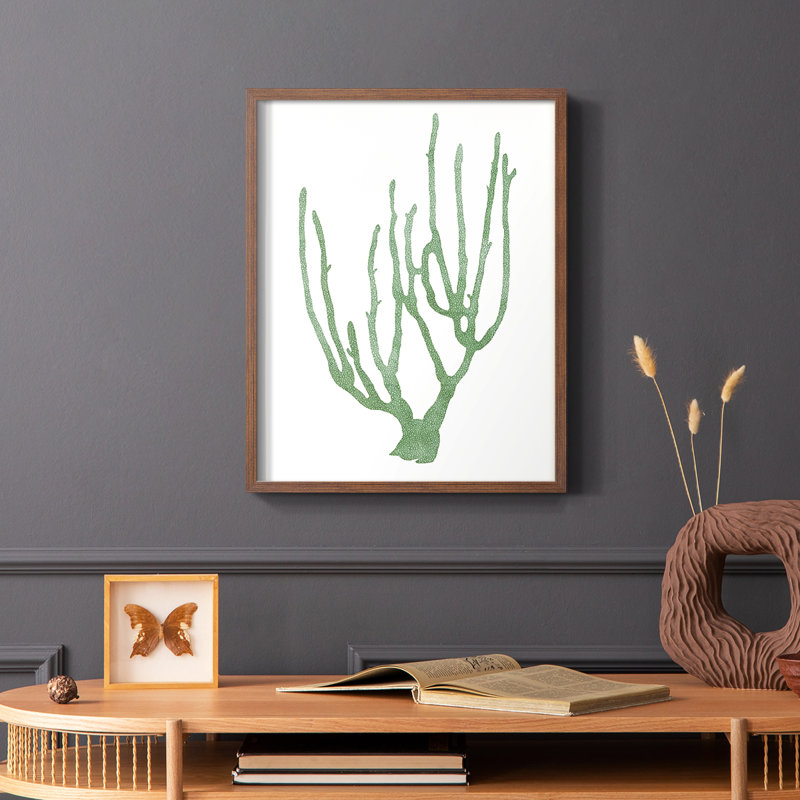 Coral Souvenirs II, reproduction encadrée - bois massif, Cadre photo brun simple, H 10 po x l 8 po