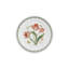 Portmeirion, Botanic Garden - Dinner Plates