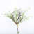 Menthe est en rupture de stock