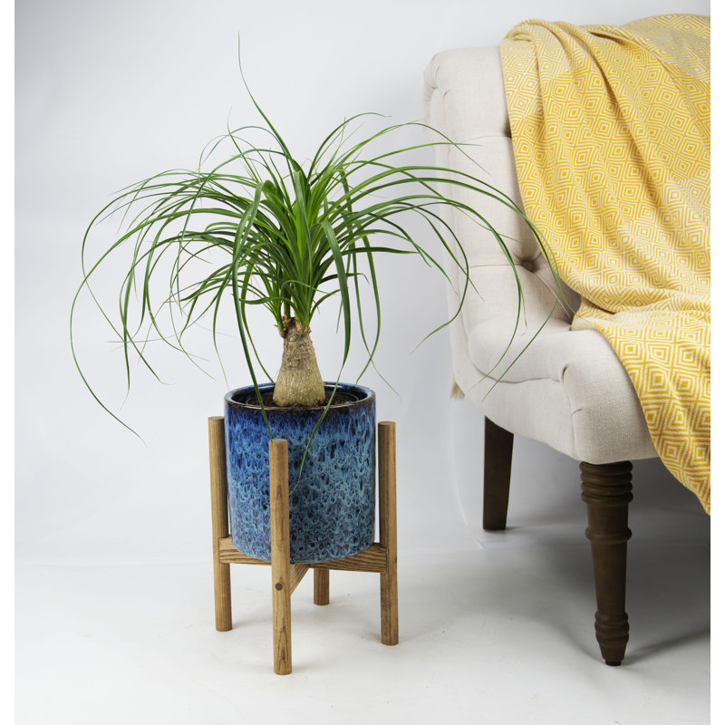 Pot de fleurs en céramique Hinz, Noyer clair
