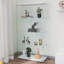 Vitrine en verre-669188706