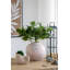 Pot à fleurs sable et ciment avec finition texturée beige Nautilus-1290118363