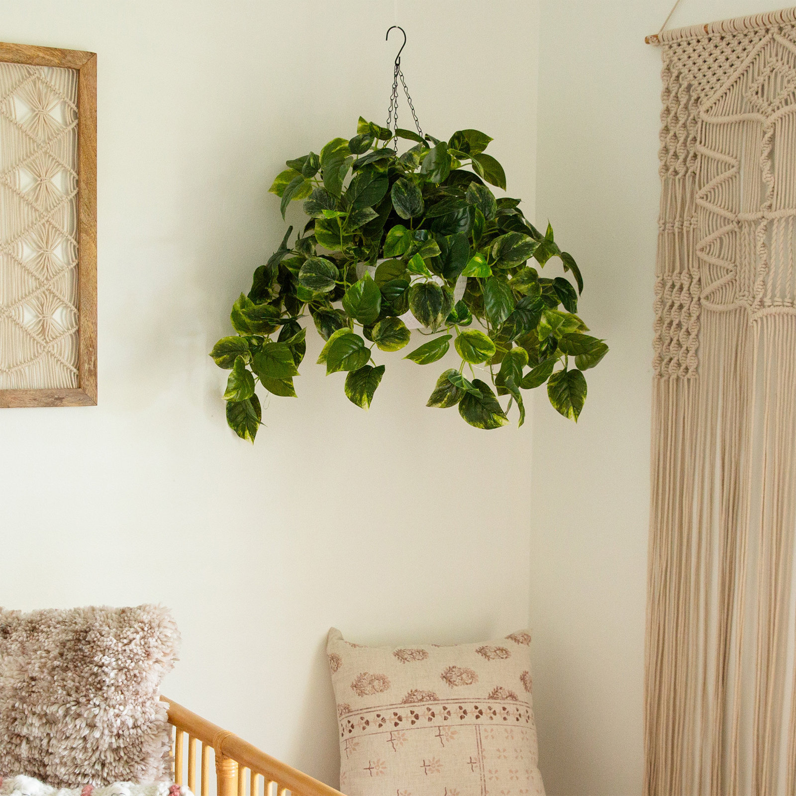 Bromborough 24" Pre-Lit Pothos Plant in Basket