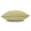 Felicity Square Pillow Cover & Insert