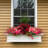 Anand Resin Window Box with Water Reservoir-1789422209-1789414775