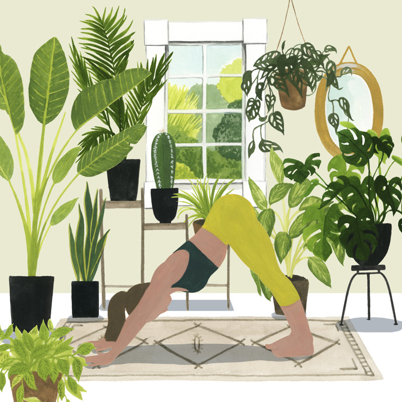 Indoor Asana I by Grace Popp - Wrapped Canvas Print, 51cm H x 51cm W