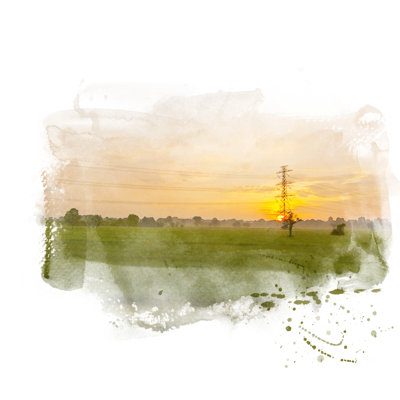 Green Rice Field - Wrapped Canvas Painting