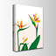 Nature Inspired Birds of Paradise III by  - Picture Frame Wall Art-80421289-80421290-129099422