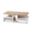 Todd Coffee Table with Storage-978909136