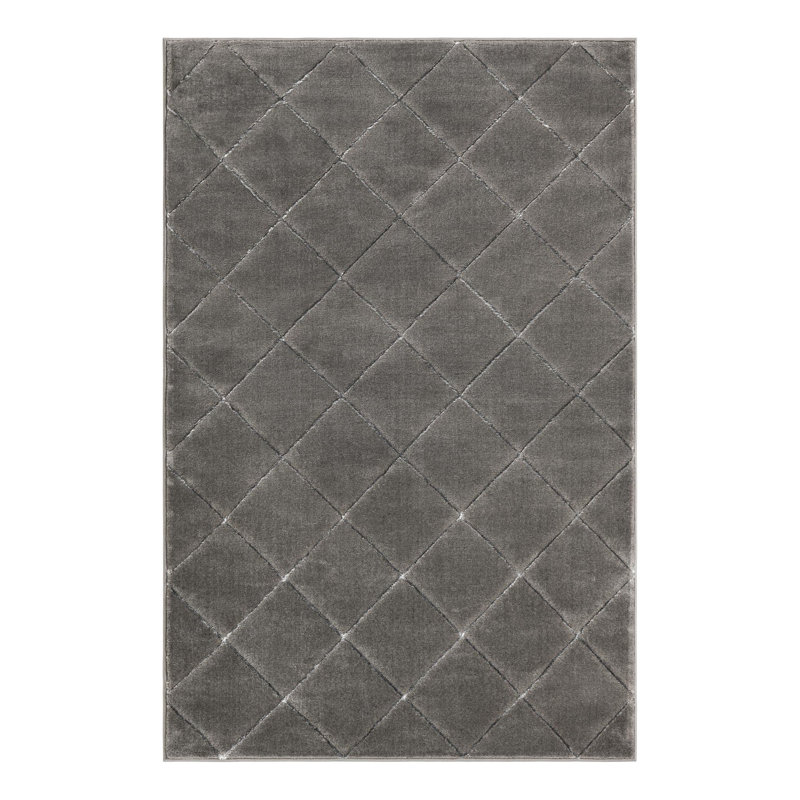 Tapis à carreaux gris et argent Latitude Run® Novica, Rectangle 4 pi 1 po x 6 pi 1 po