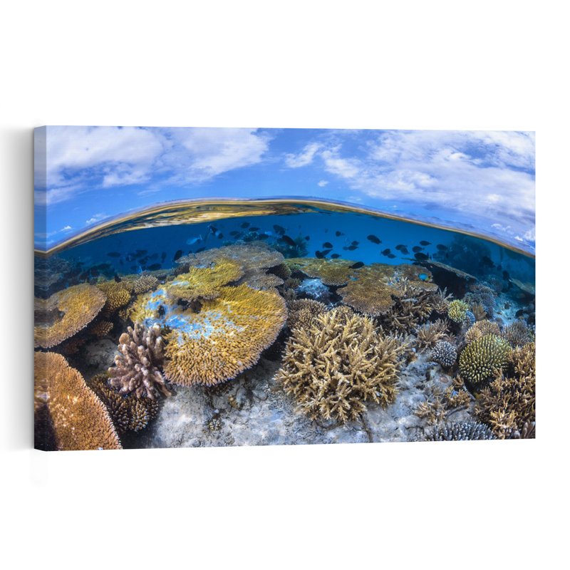 Vibrant Coral Ocean Scene Colorful Vibrant Abstract Fish Nature Ocean Wall Art Print 1 Piece Wrapped Canvas Wall Art