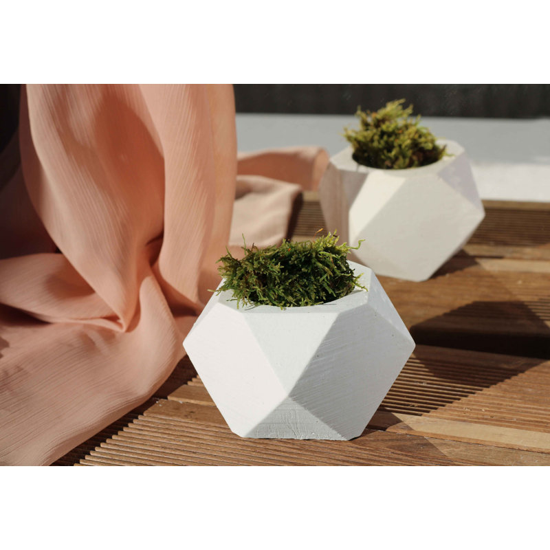 Damir Handmade Pot Planter, White