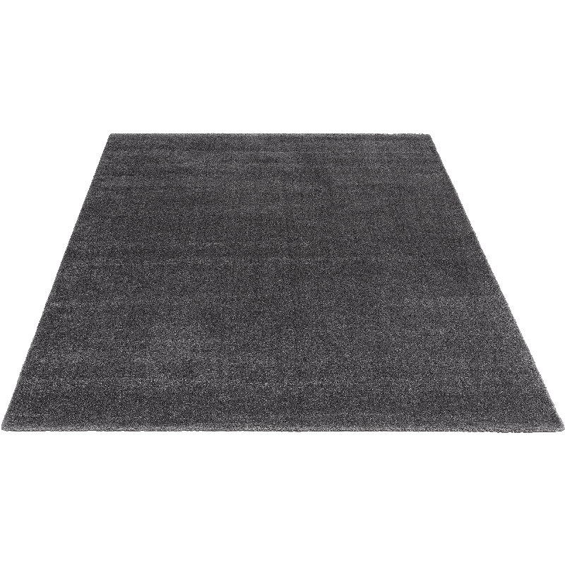 Papken Area Rug, Rectangle 160 x 230cm