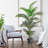 Faux Palm Tree in Pot-1345970930