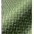 Vert palmier