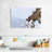 Brampt Winter Bighorn Sheep-106821446