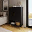 Tarel 15 Pair Shoe Storage Cabinet-493357763