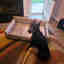Customer photo 3 of 3