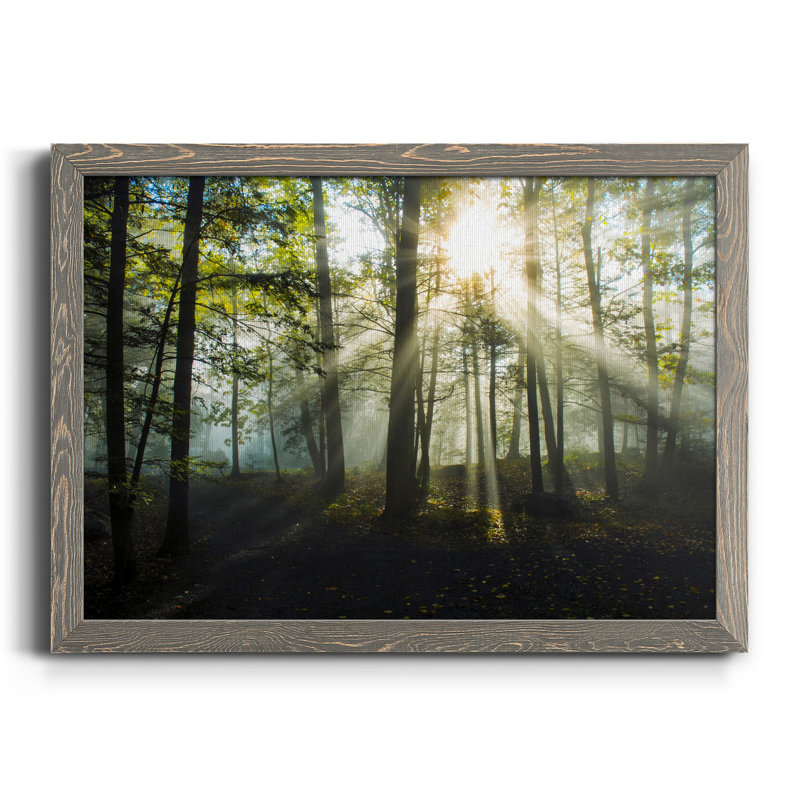 Lumière et arbres - Toile encadrée de qualité supérieure - prête à être accrochée, Gris, H 24 po x l 18 po x P 1,5 po