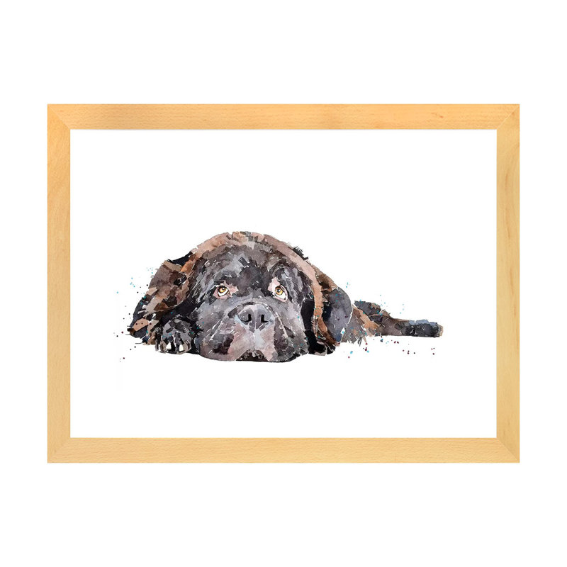 Chien Terre-Neuve imprimé par EdsWatercolours - impression, Toile avec cadre en bois beige, Blanc, H 24 po x l 32 po x P 1 po