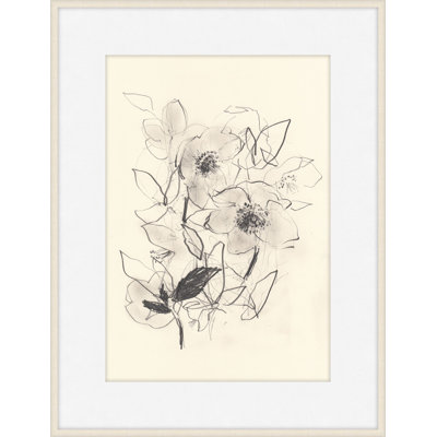 Morning Hellebores 2 Print