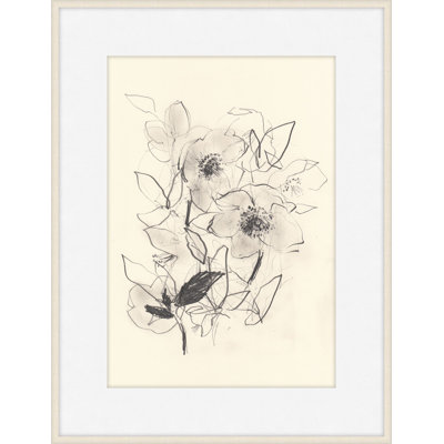 Morning Hellebores 2 Print