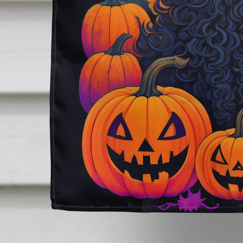 Jakameron Double Sided Polyester Halloween Garden Flag, 40" x 28"